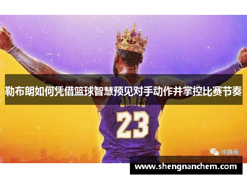 勒布朗如何凭借篮球智慧预见对手动作并掌控比赛节奏