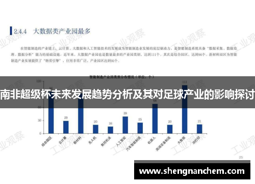 南非超级杯未来发展趋势分析及其对足球产业的影响探讨