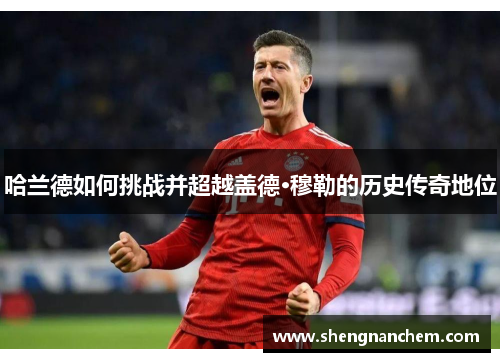 哈兰德如何挑战并超越盖德·穆勒的历史传奇地位