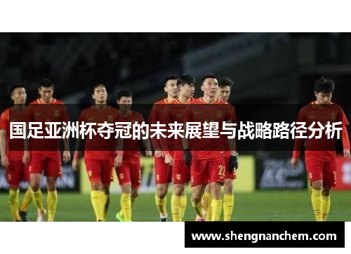 国足亚洲杯夺冠的未来展望与战略路径分析